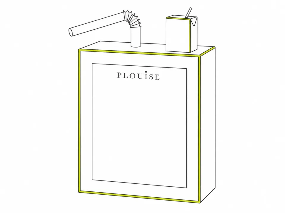 PLOUISE — illustrative concept view