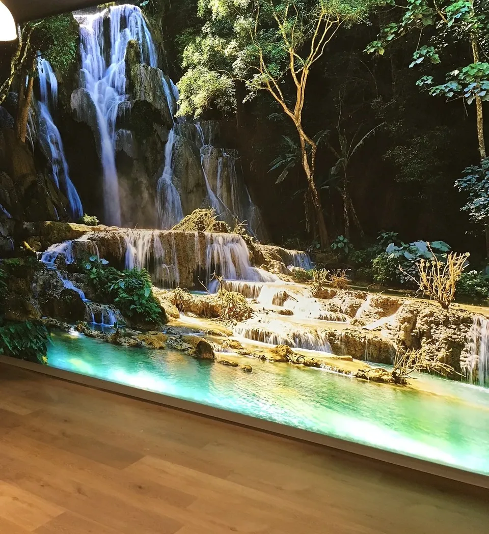 Studio wall graphics with illustrated imagery