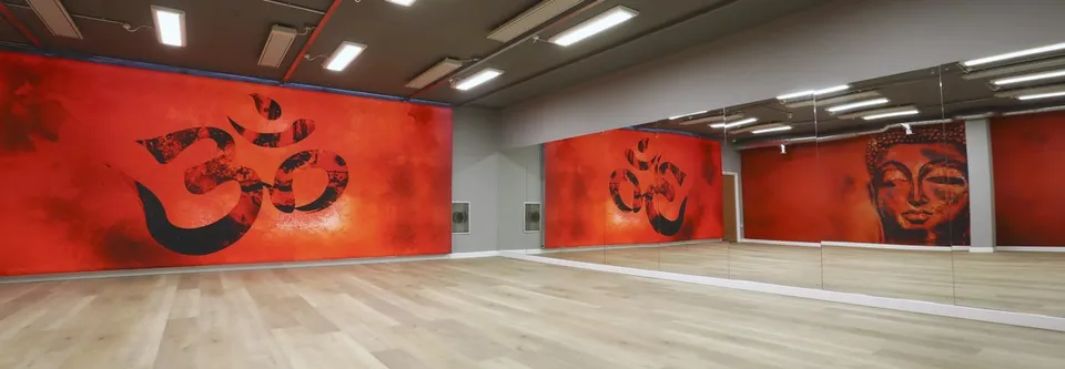 Studio wall graphics with illustrated imagery
